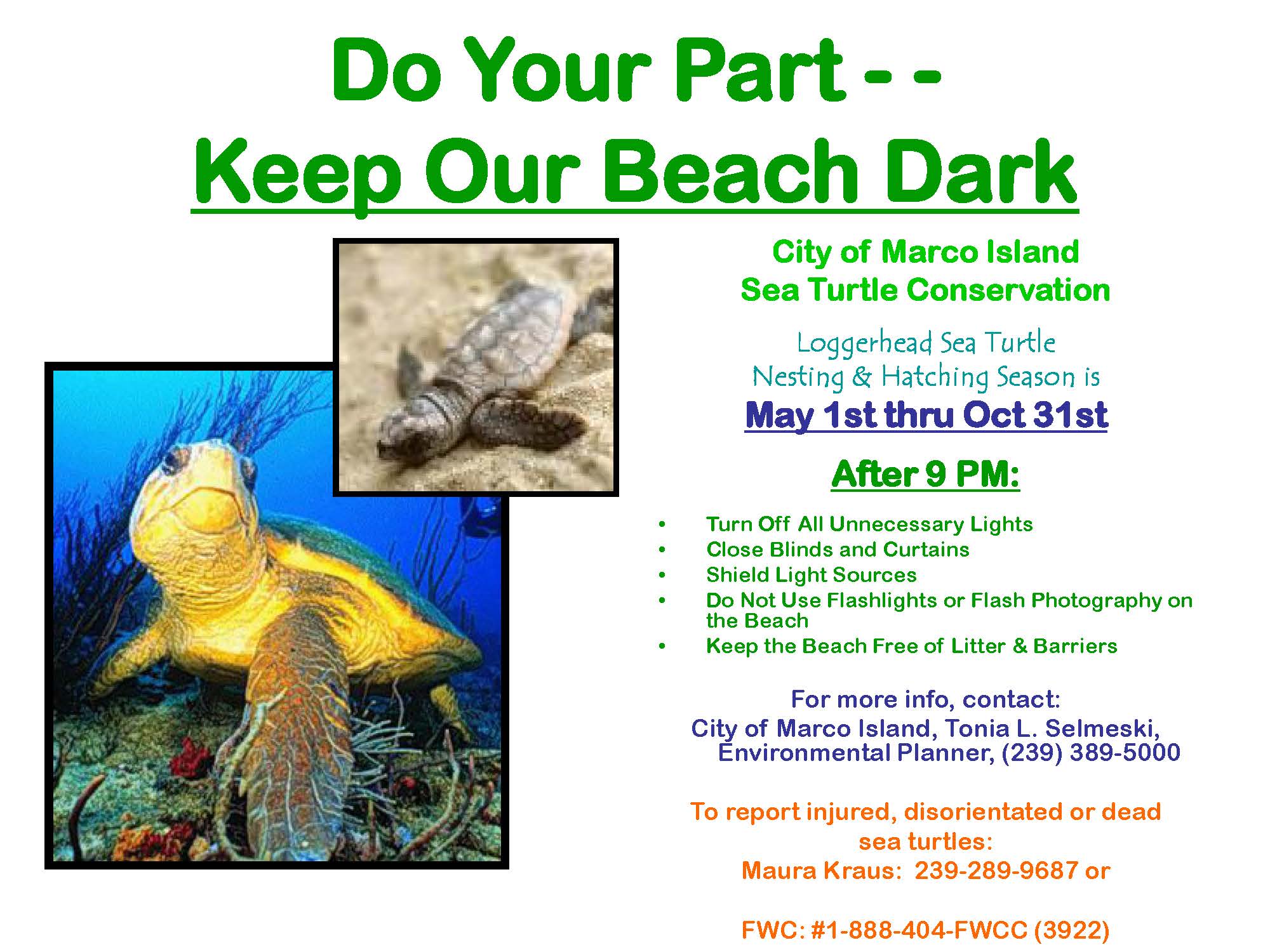 Sea Turtle Nesting Season Community Association Managers of